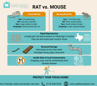 An infographic titled 'RAT vs. MOUSE' compares House Mice and Norway/Roof Rats by size and droppings.