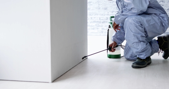 A person in a protective suit kneels to spray a liquid from a tank along the base of a white wall and floor.