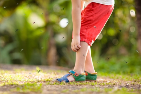 A child scratches their leg, surrounded by a swarm of mosquitoes outdoors on a bright day.