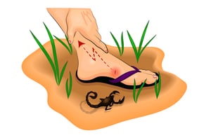 Scorpion