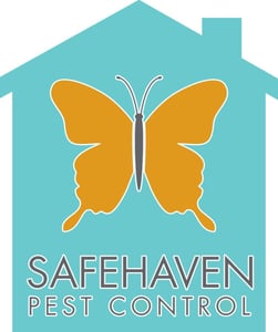 Safe Haven