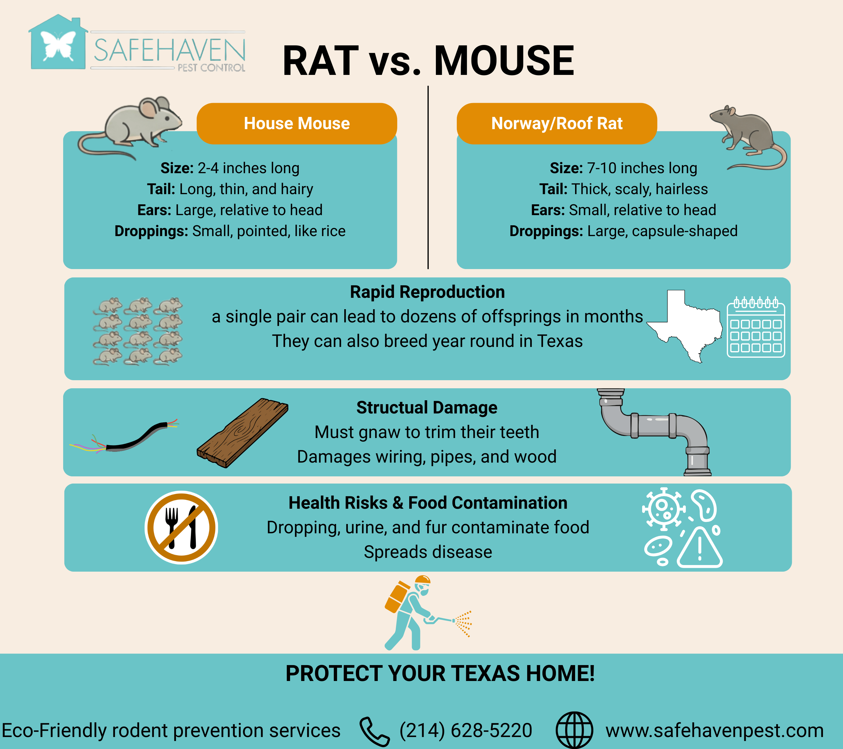 _Rat vs Mouse Jan 26