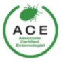 ACE