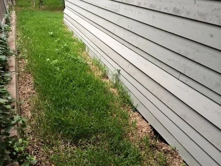 A house exterior wall with light-colored siding stands next to a narrow grassy strip. 